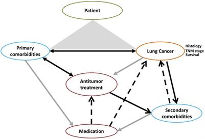 Lung cancer, comorbidities, and medication: the infernal trio